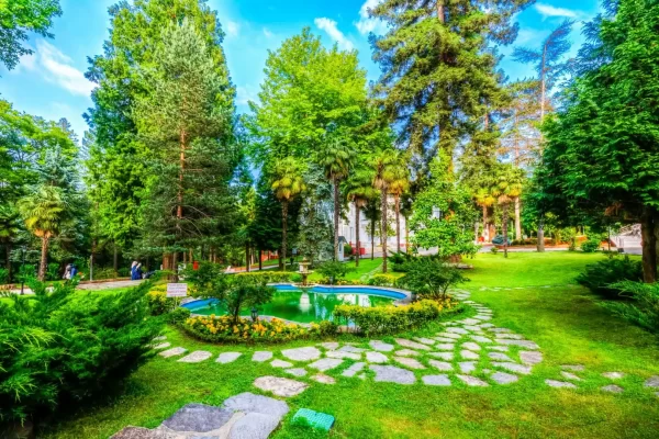 yalova thermal forest