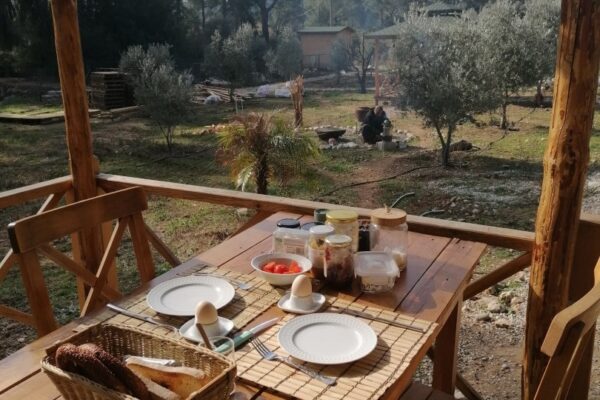 Indigo Vallley Photos